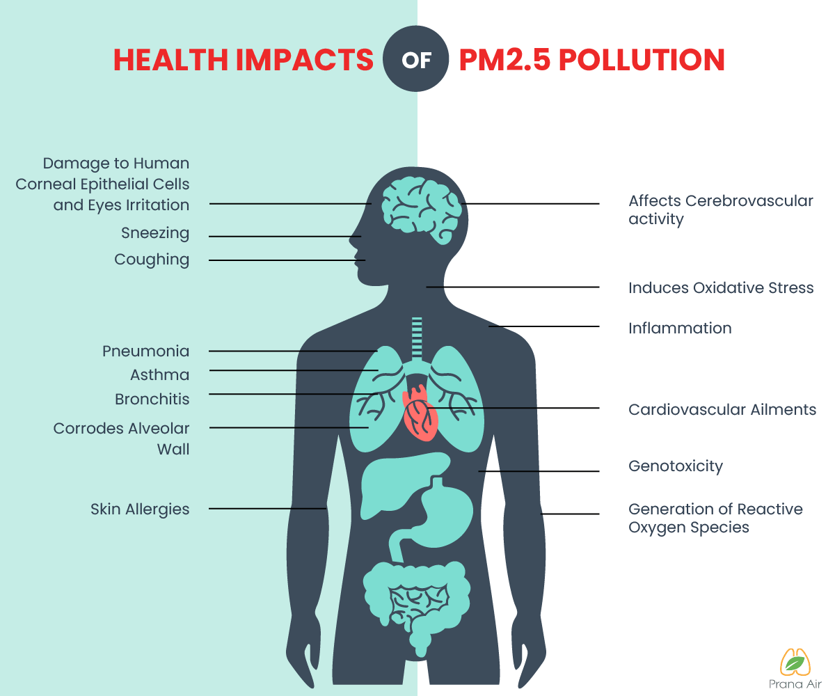 efectos PM 2.5 micras
